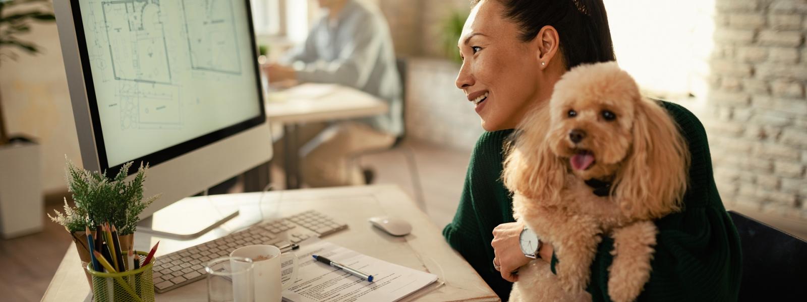 Woman at desk in office holding a dog