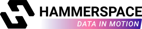 Hammerspace Logo
